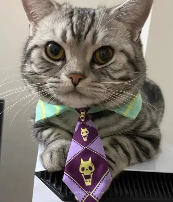 Anime JoJo's Bizarre Adventure Mini Pet  Dog Cat Tie Cosplay Giorno Bruno Jotaro Animal Necktie Christmas Accessories Props 1
